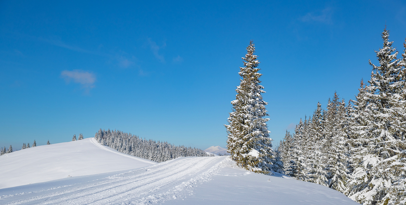 Bukovel. Ski & SPA resort in the Carpathians - Bukovel. Ski & SPA ...