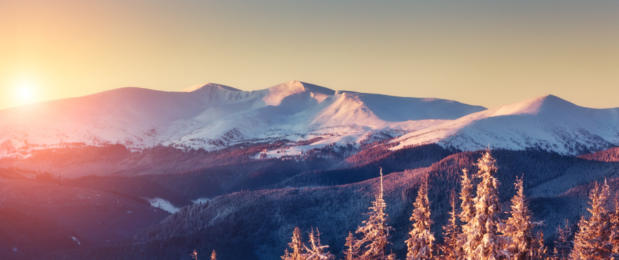 Sustainable development office opens at Bukovel