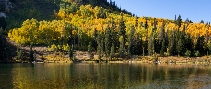 International Coastal Cleanup Day