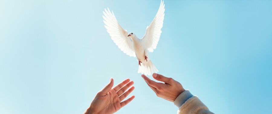 Мир, справедливість та сильні інститути