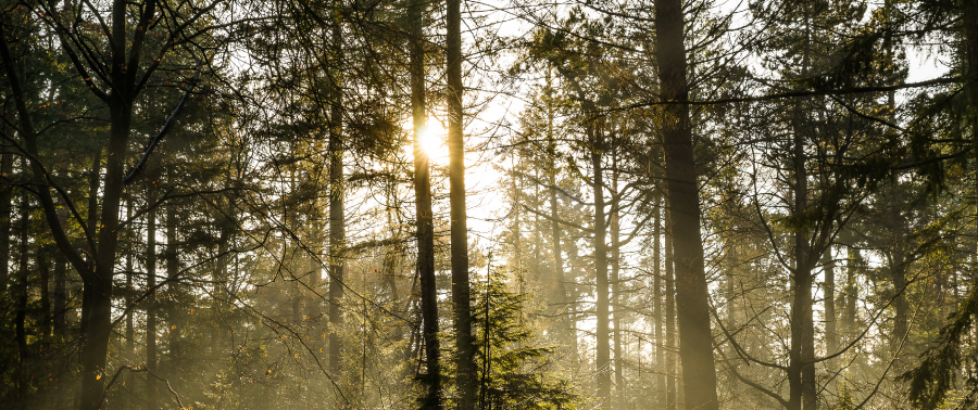 Climate change: why it affects every one of us