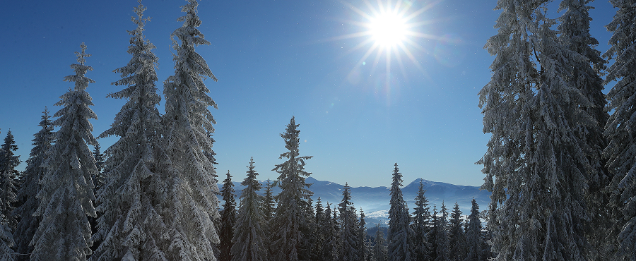 Bukovel підписав меморандум про сталий розвиток з НПП “Карпатський”
