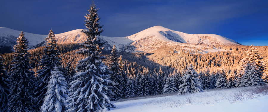 Bukovel’s mission for sustainable development
