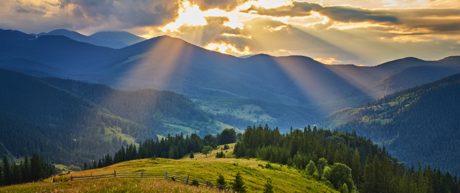 Про флору та фауну Bukovel