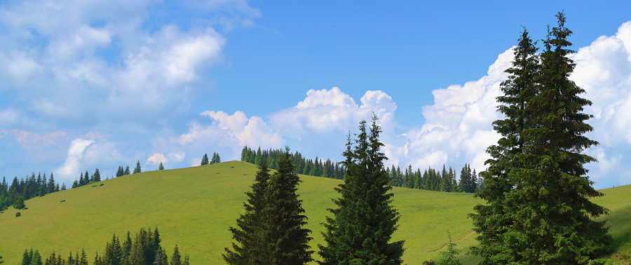 Bukovel доєднався до міжнародної програми Climate Friendly Travel