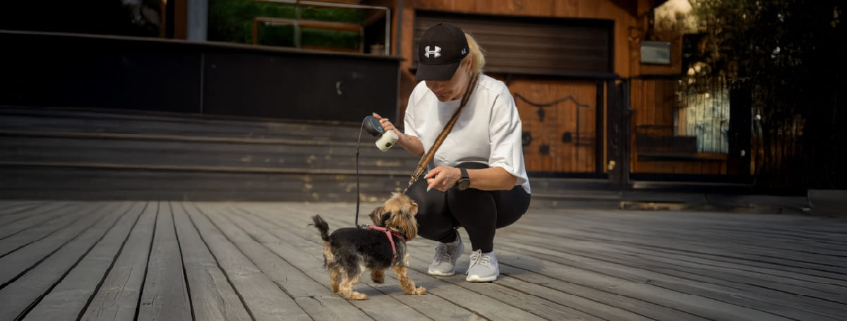 Caring for furry friends