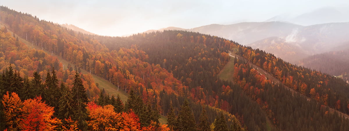 Bukovel 365. Całoroczny kurort w samym sercu Karpat