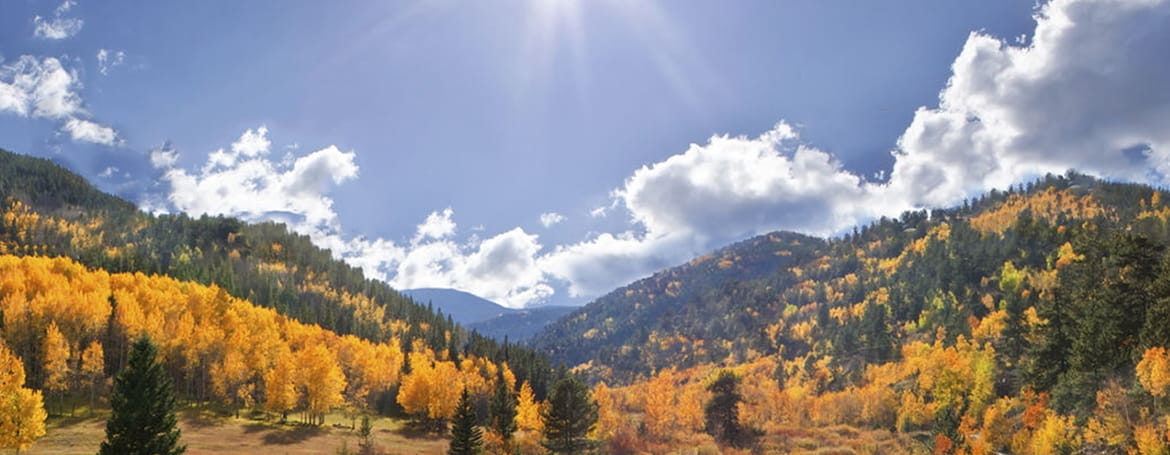 Autumn at «Bukovel»