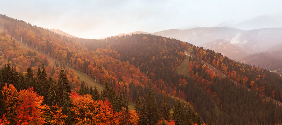 All seasons resort Bukovel. Welcome to the Heart of the Carpathians!