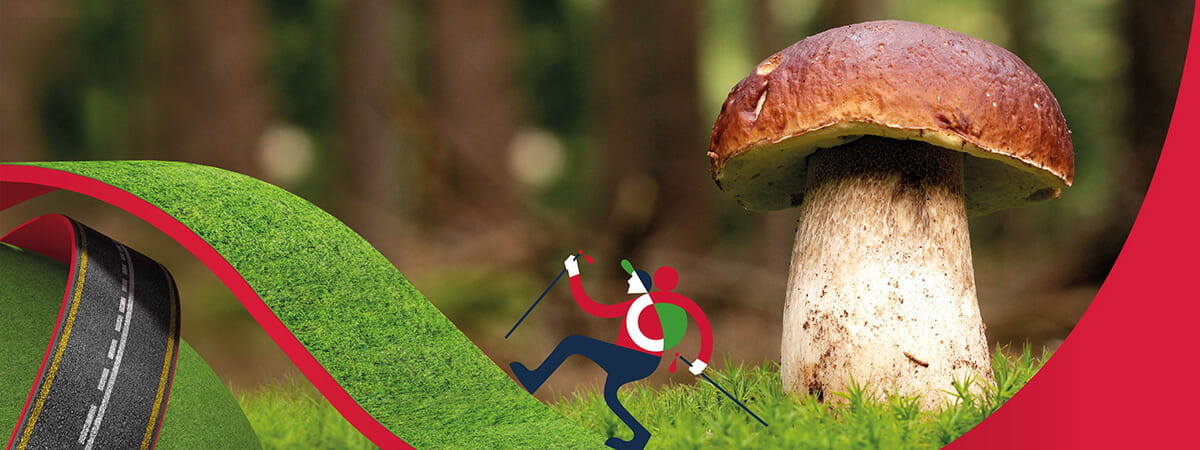 Mushroom season has started!