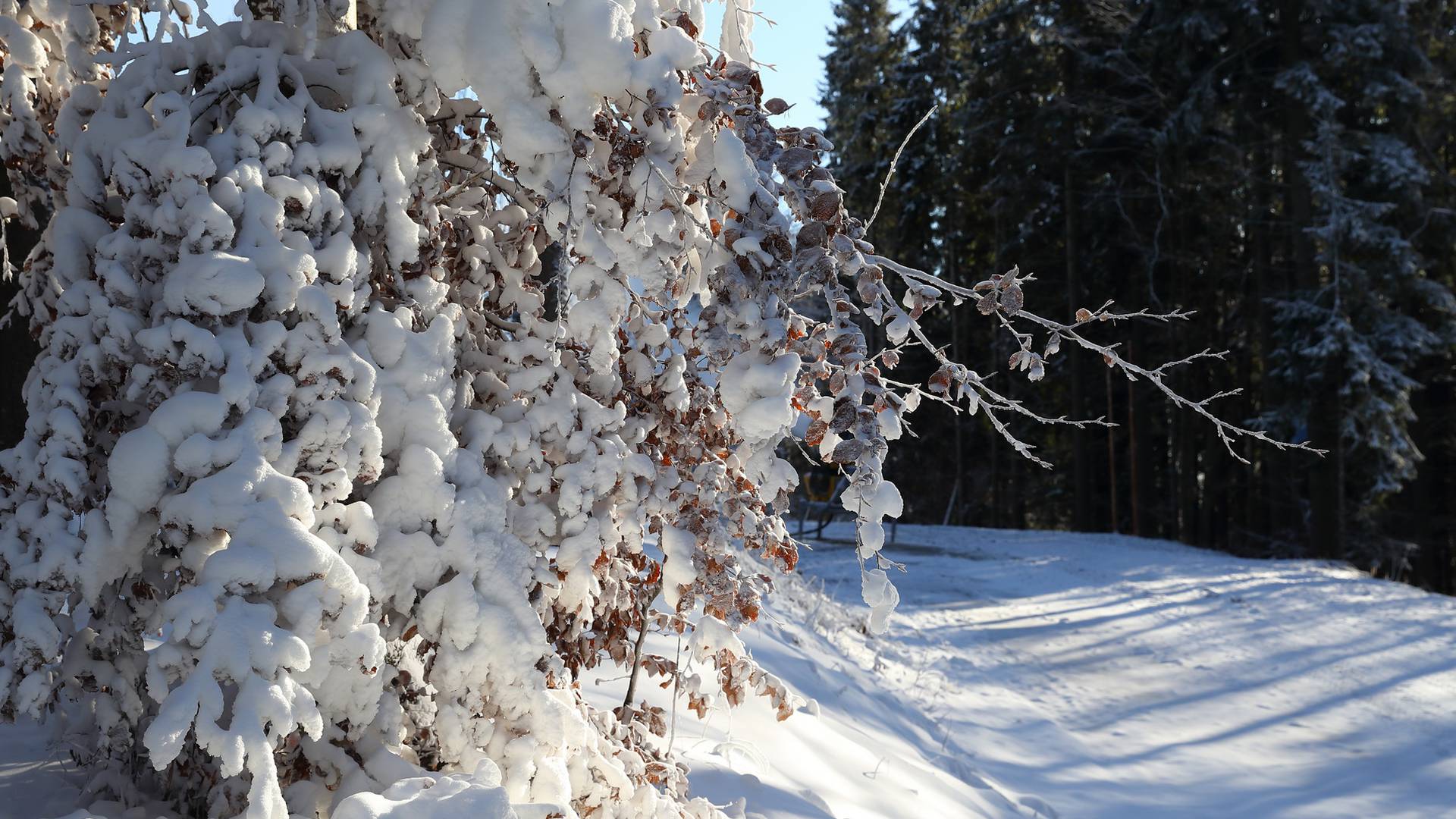 Raport De Fotografii Album 01 Decembrie 2019 Bukovel Stațiune
