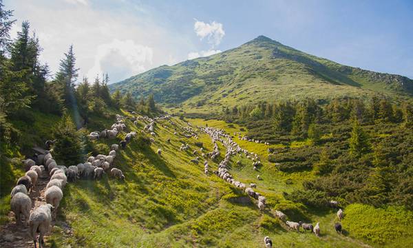 Дозвілля Bukovel - Буковель. Гірськолижний та SPA курорт в Карпатах