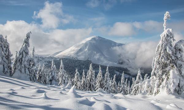 Recreation - Bukovel. Ski & SPA resort in the Carpathians
