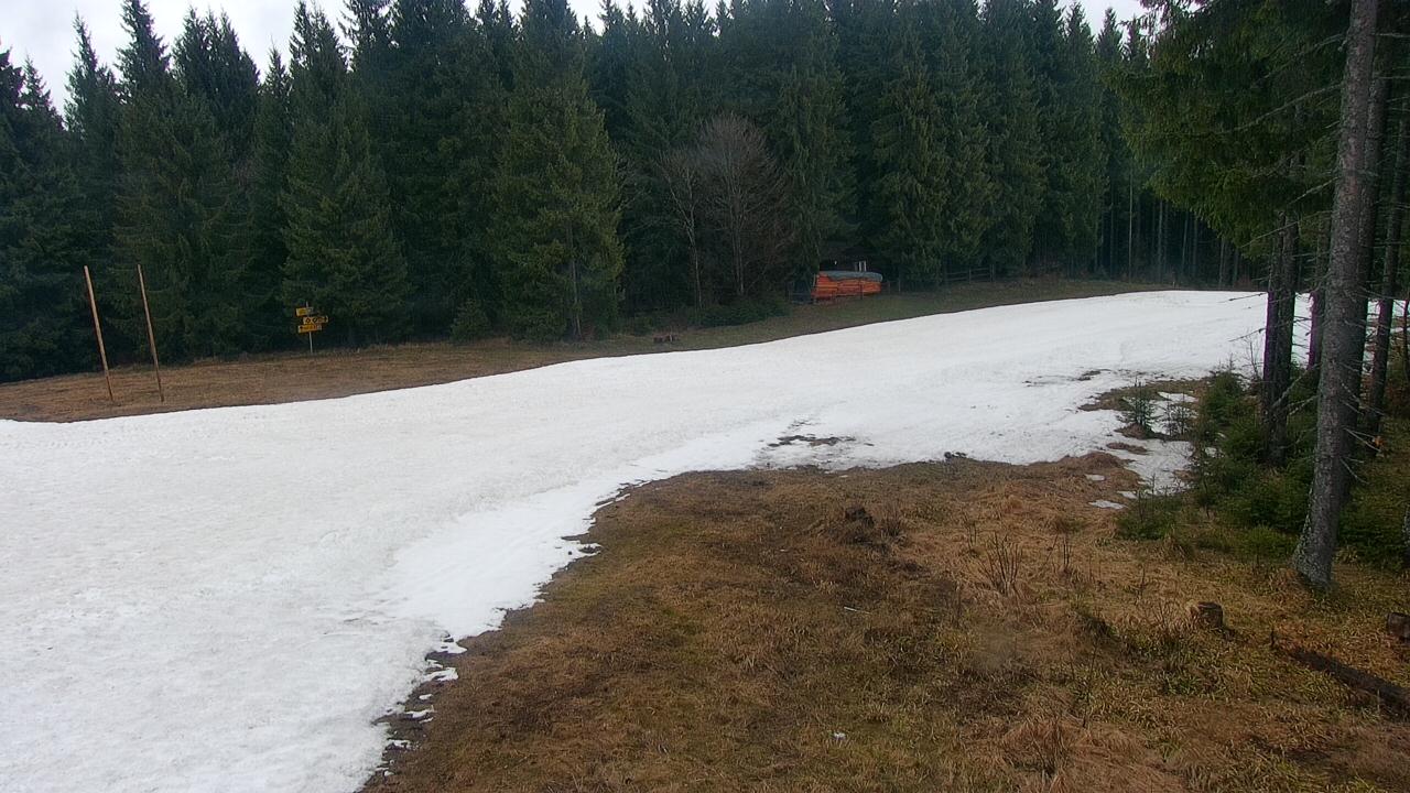 Lift #5 Mountain Station webcam