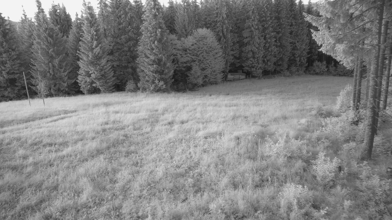 Lift #5 Mountain Station webcam