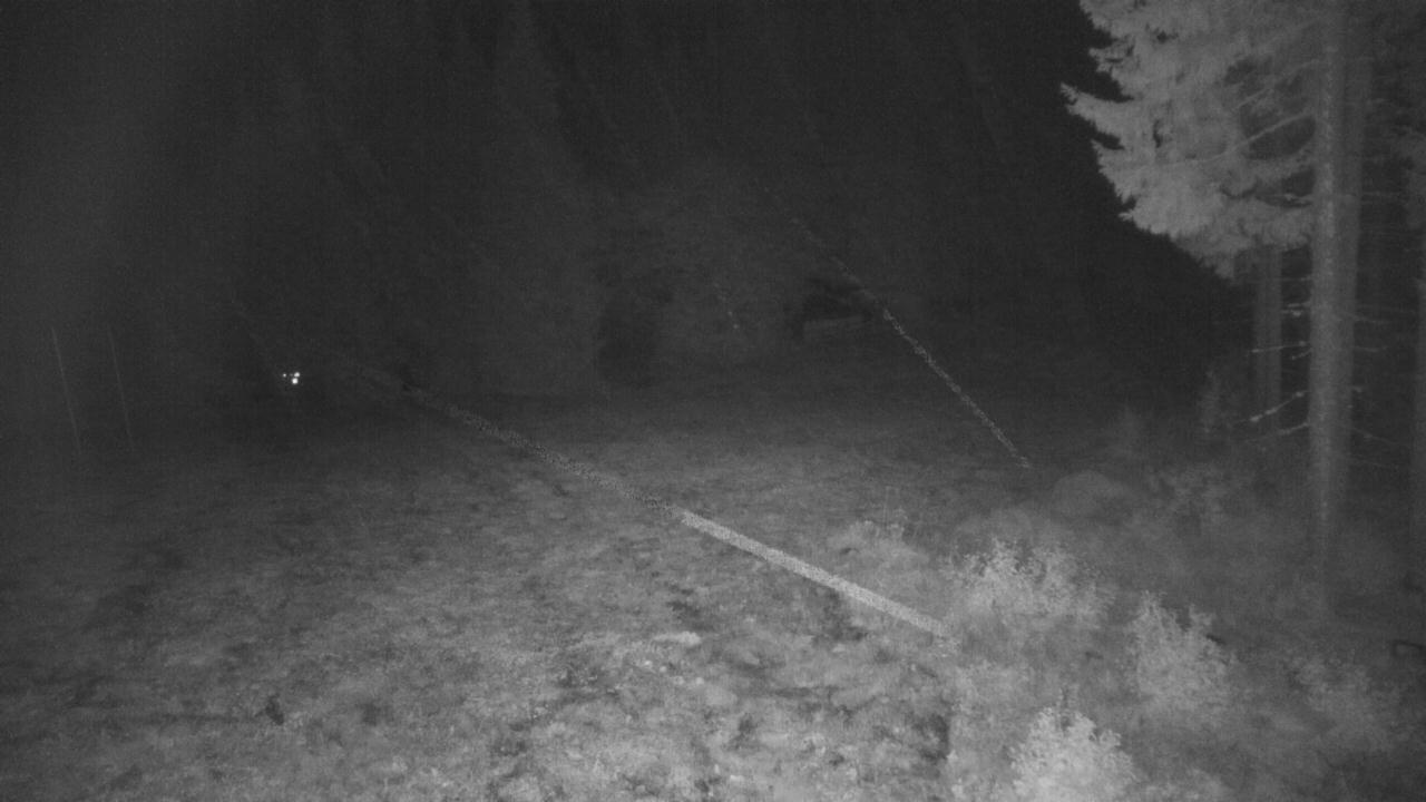 Lift #5 Mountain Station webcam