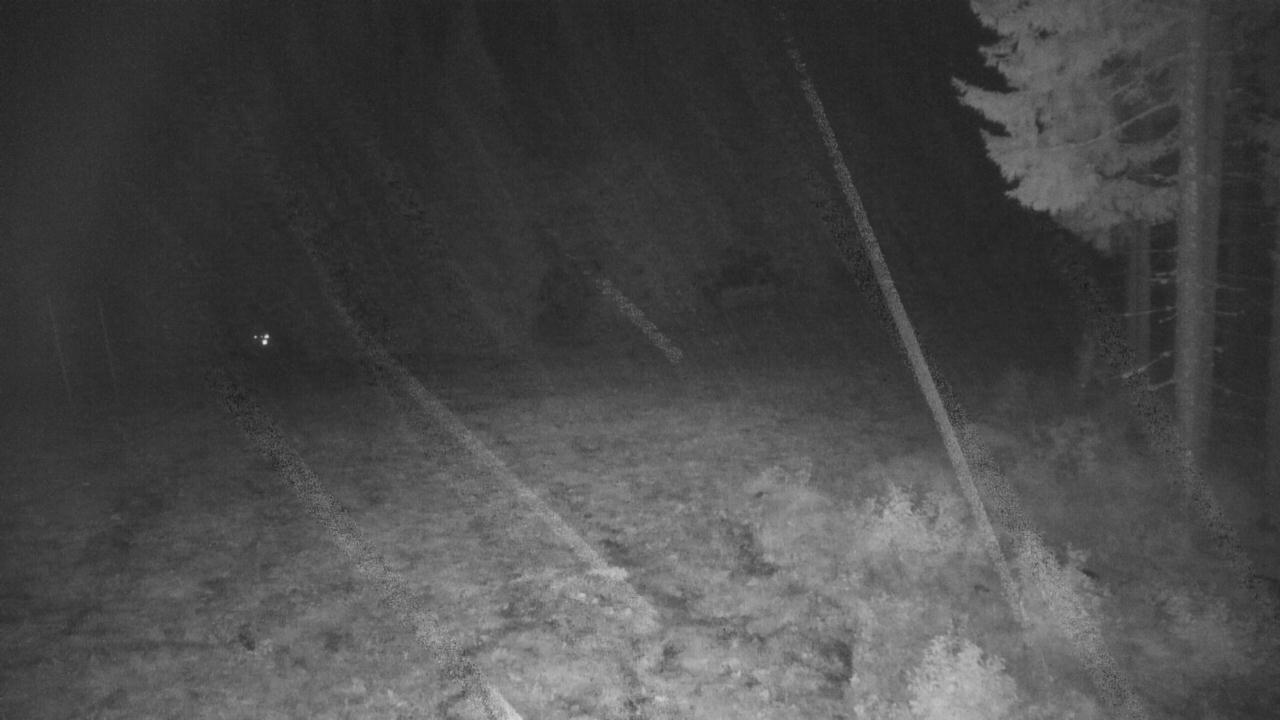 Lift #5 Mountain Station webcam
