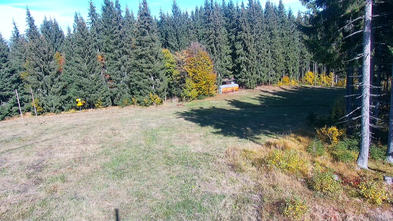 Lift #5 Mountain Station webcam